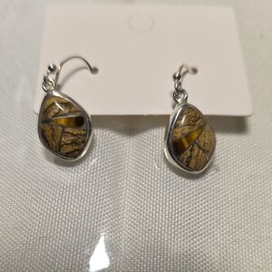 Elegant Silver and Tiger Eye And Picture Jasper Earrings.
